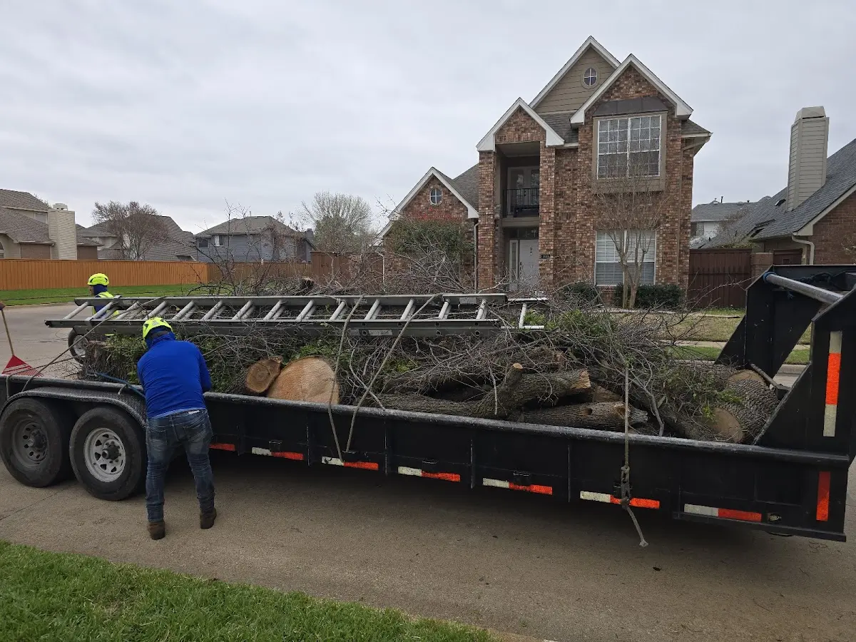 Expert Tree Removal with proper safety equipment in Fort Bragg